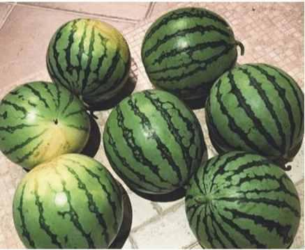 去哪儿吃瓜,去哪儿吃瓜之旅