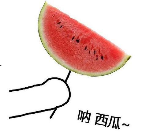 留学圈 吃瓜,揭秘那些“吃瓜”背后的留学故事