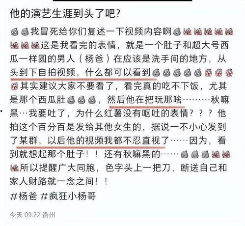 小杨吃瓜小说,揭秘娱乐圈背后的秘密与真相