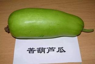 瓜不熟不中吃,美味尽享——探索成熟瓜果的独特魅力