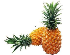 菠萝吃瓜视频大全,趣味横生的欢乐时光回顾