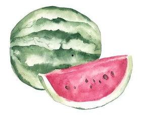 天子吃瓜切4瓣,揭秘古代皇帝的消暑美食