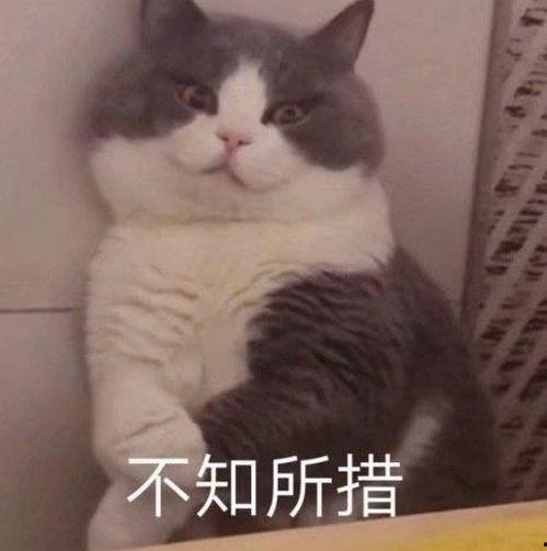 口罩吃瓜群众表情,表情解码