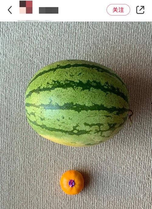 最全吃瓜梳理,揭秘娱乐圈幕后真相与热点事件