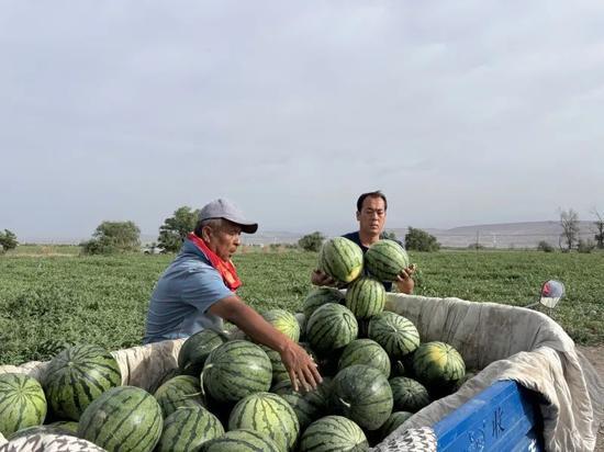 每日吃瓜必吃大瓜5,揭秘娱乐圈大瓜背后的真相