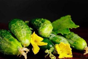 糖人可吃瓜吗,揭秘可否与瓜果同食之谜