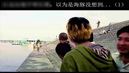 不明生物吃瓜视频,吃瓜视频背后的惊悚真相