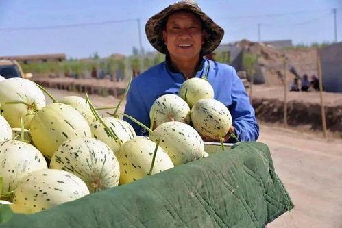 做一个吃瓜群众的图案,围观者的欢乐与智慧