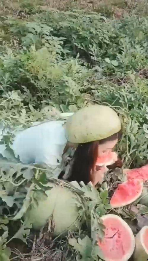 旅游吃瓜小姐姐