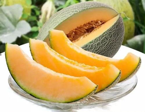 外协会吃瓜,一场娱乐与八卦的狂欢盛宴