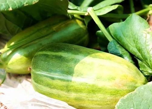 瓜的方法怎么吃,探索多样吃瓜方法