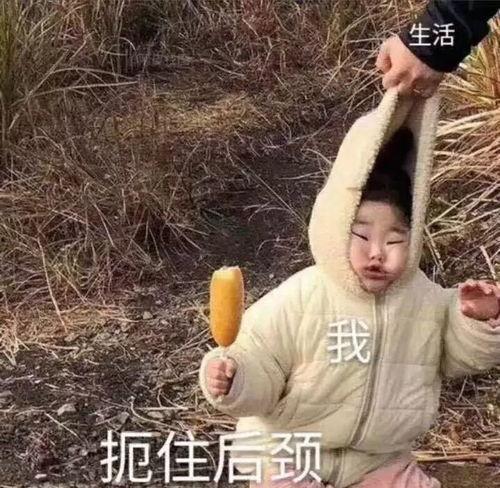 吃瓜台湾情侣头像,台湾情侣头像里的浪漫时光