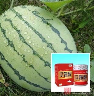 血管扩张可以吃瓜吗,畅享夏日瓜果盛宴